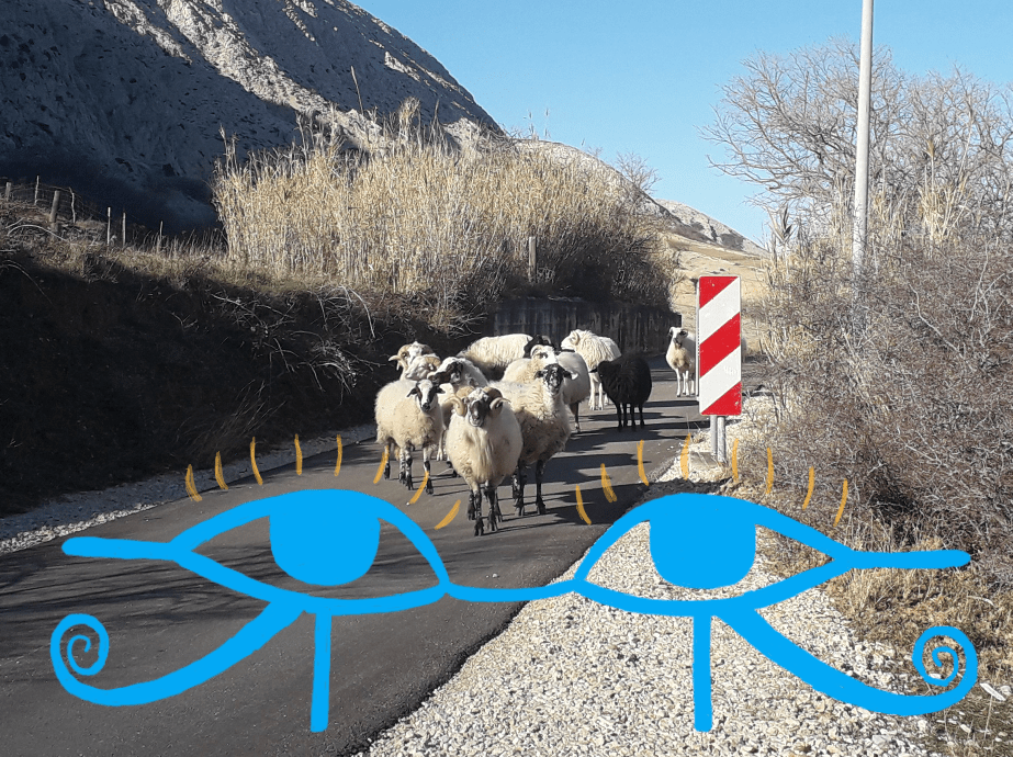 O odnosu do&nbsp;narave